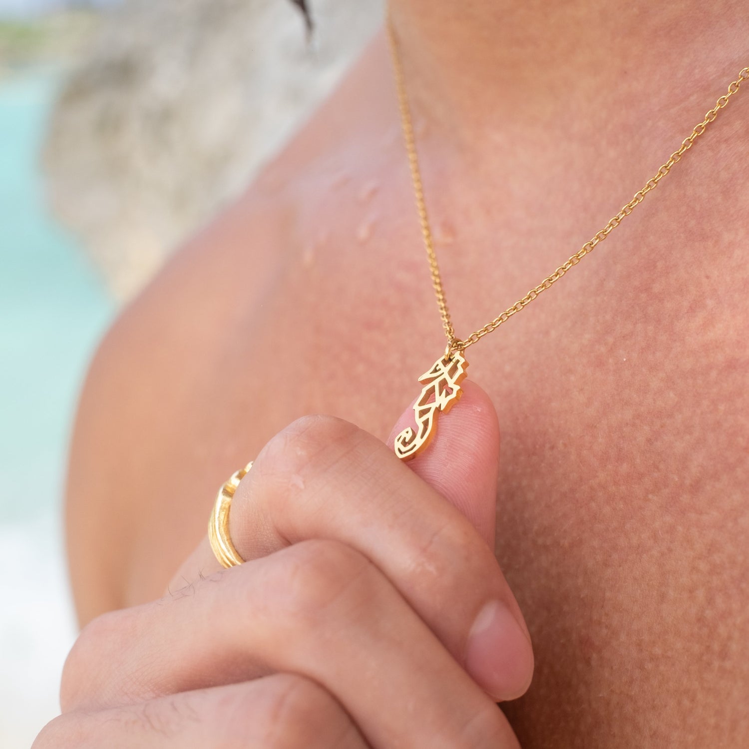 sea horse design jewelry - Isolana.co