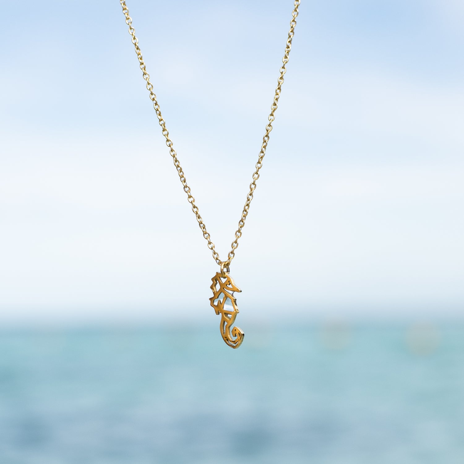 sea horse save ph seas - Isolana.co